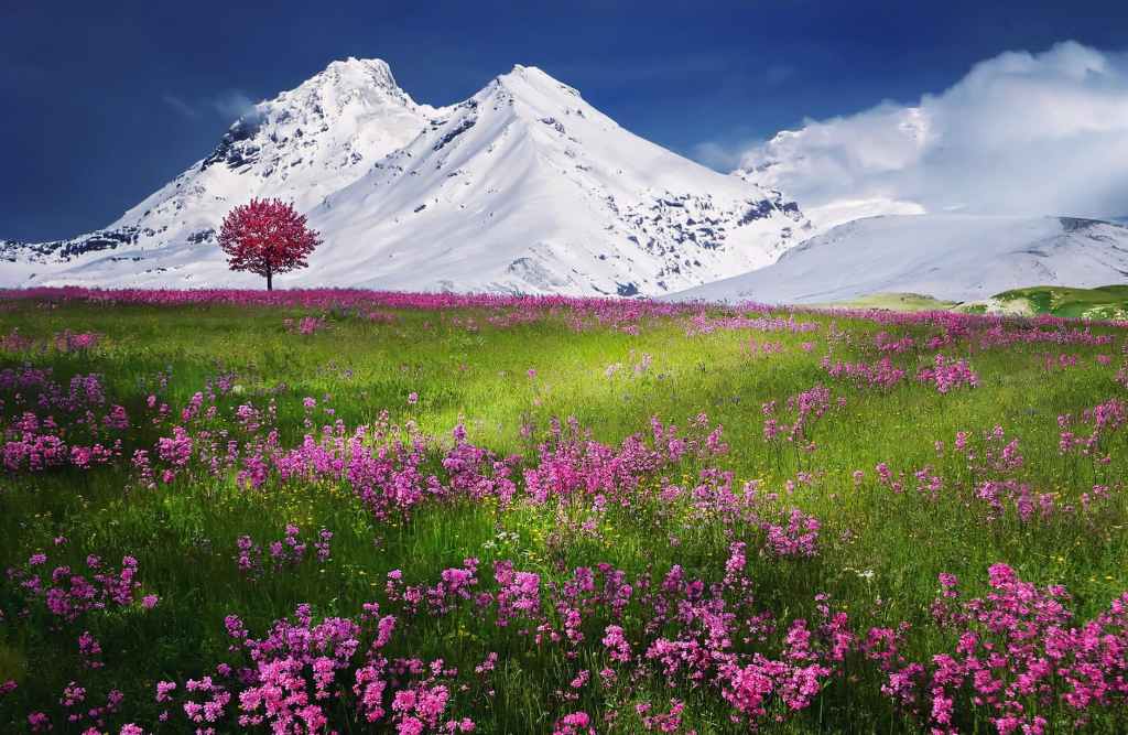 Season of Change